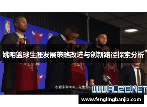 姚明篮球生涯发展策略改进与创新路径探索分析