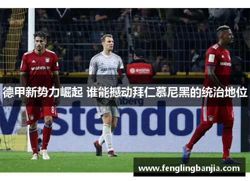 德甲新势力崛起 谁能撼动拜仁慕尼黑的统治地位