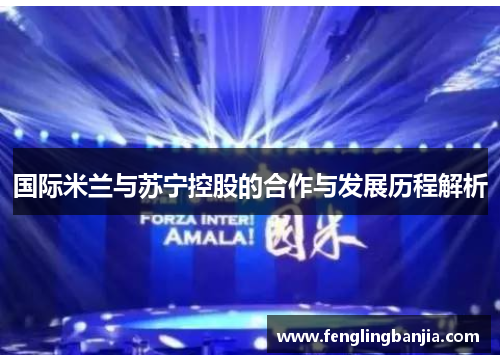 国际米兰与苏宁控股的合作与发展历程解析