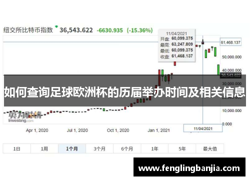如何查询足球欧洲杯的历届举办时间及相关信息
