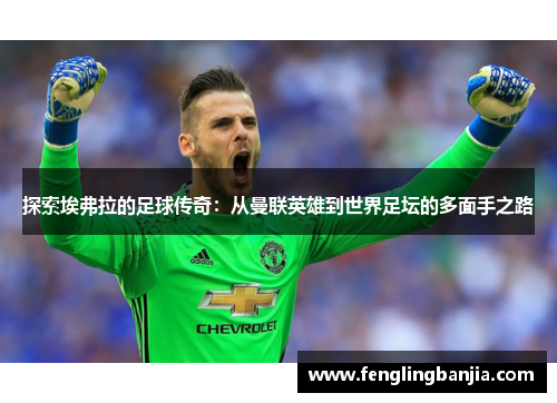 探索埃弗拉的足球传奇：从曼联英雄到世界足坛的多面手之路