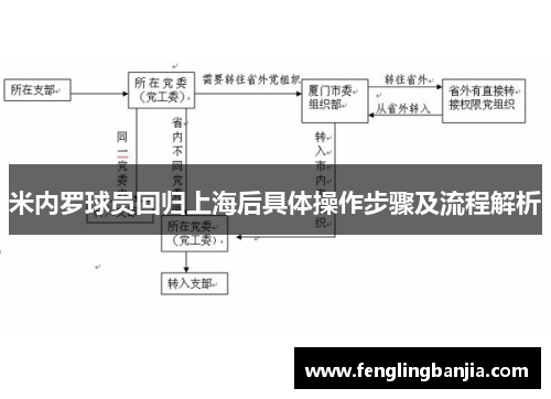 米内罗球员回归上海后具体操作步骤及流程解析