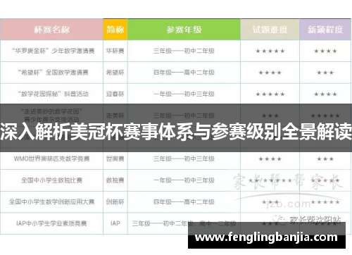 深入解析美冠杯赛事体系与参赛级别全景解读