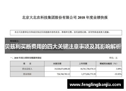 贝兹利买断费用的四大关键注意事项及其影响解析